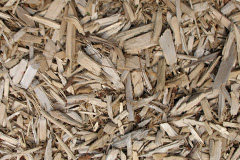 biomass boilers Grain